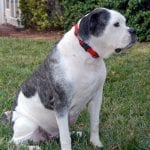article image -